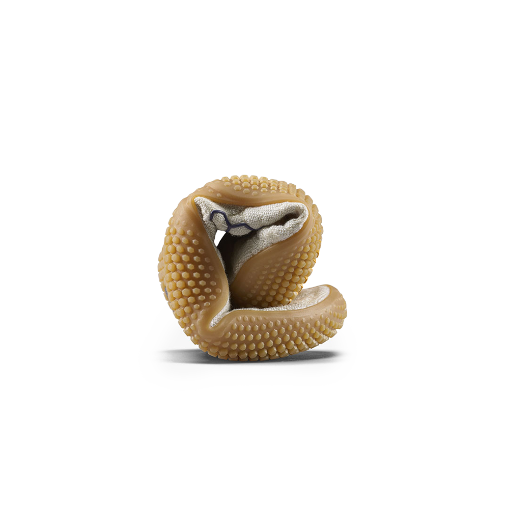 Vivobarefoot Motus Studio Sneaker Womens Arctic Wolf/Gum