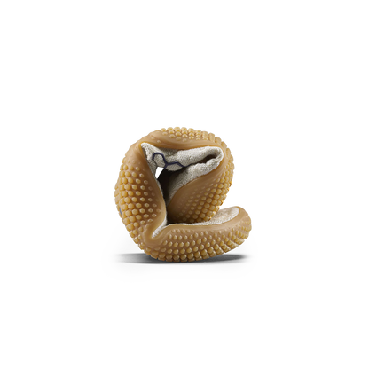 Vivobarefoot Motus Studio Sneaker Womens Arctic Wolf/Gum